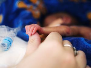 一个成年男孩的婴儿……婴儿的卵巢腺，而在子宫里