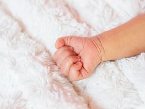 婴儿宝宝的婴儿