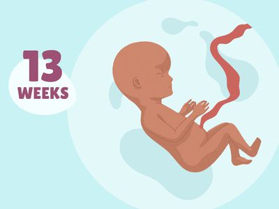 Pregnancy Week by Week: Week 13