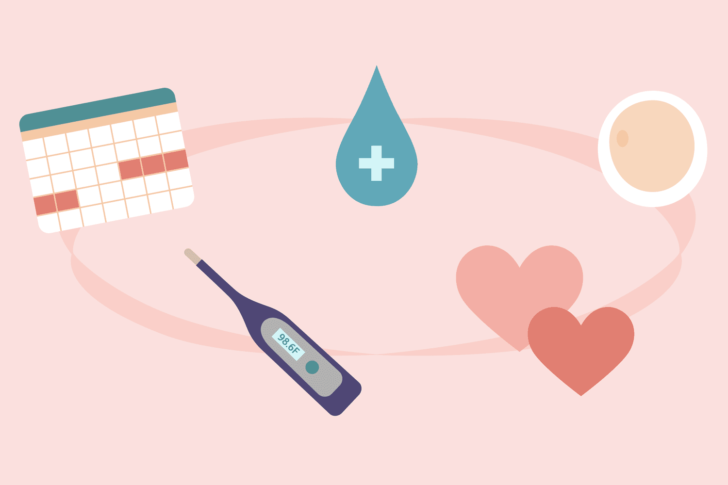 Verywell Family's Understanding Ovulation Journey