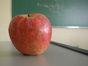 学校的课程给你提供一份重要的信息。