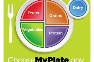 The new MyPlate logo from the USDA is supposed to help people build a healthy plate of food.