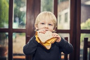 Child eating a cheese sandwich