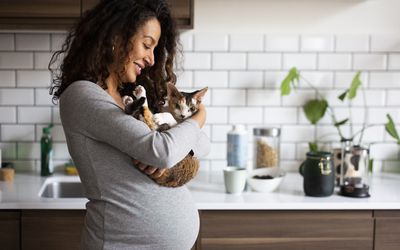pregnant person holding cat