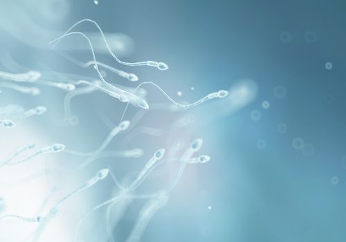 人类精子、艺术品
