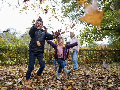 Kids Playing in a leaf pile