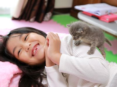 Little girl playing with kitten