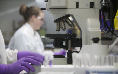 科学家在实验室里分析样品