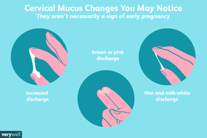 cervical mucus changes