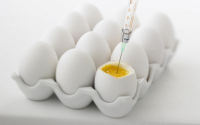 将生育药物注射进卵子的注射器