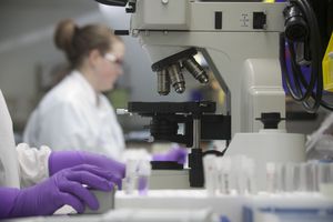 科学家在实验室里分析样品