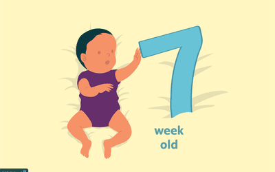 7-Week-Old Baby