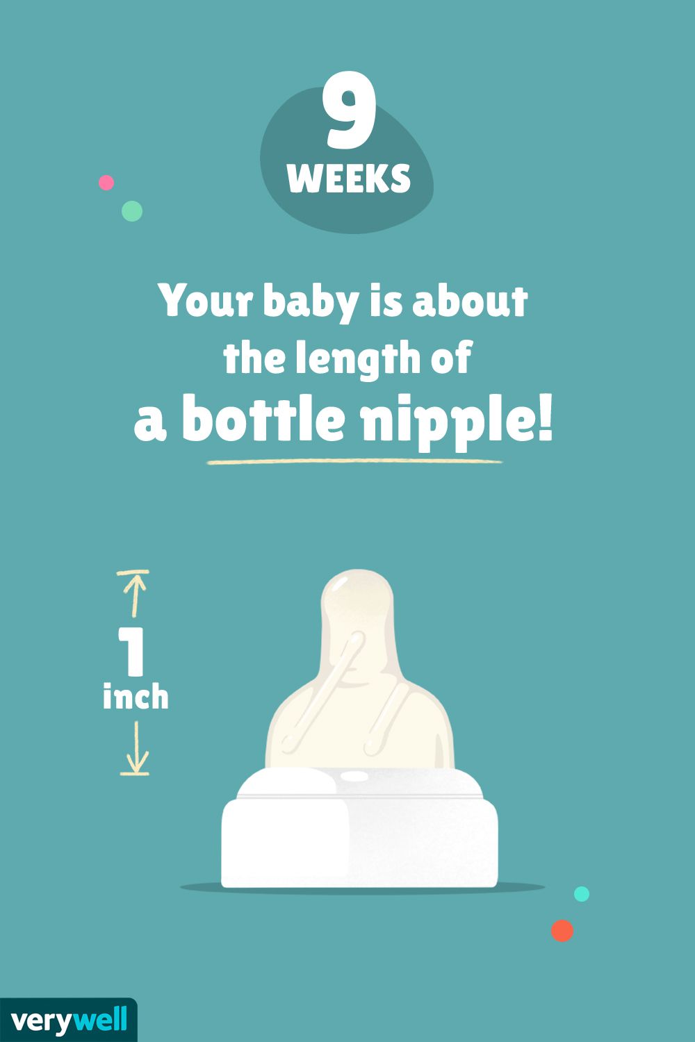 怀孕9周时，你的宝宝大约有奶瓶乳头那么长