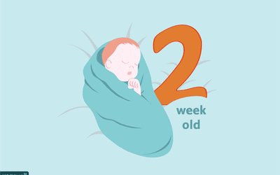 2-Week-Old Baby