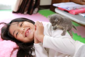 Little girl playing with kitten