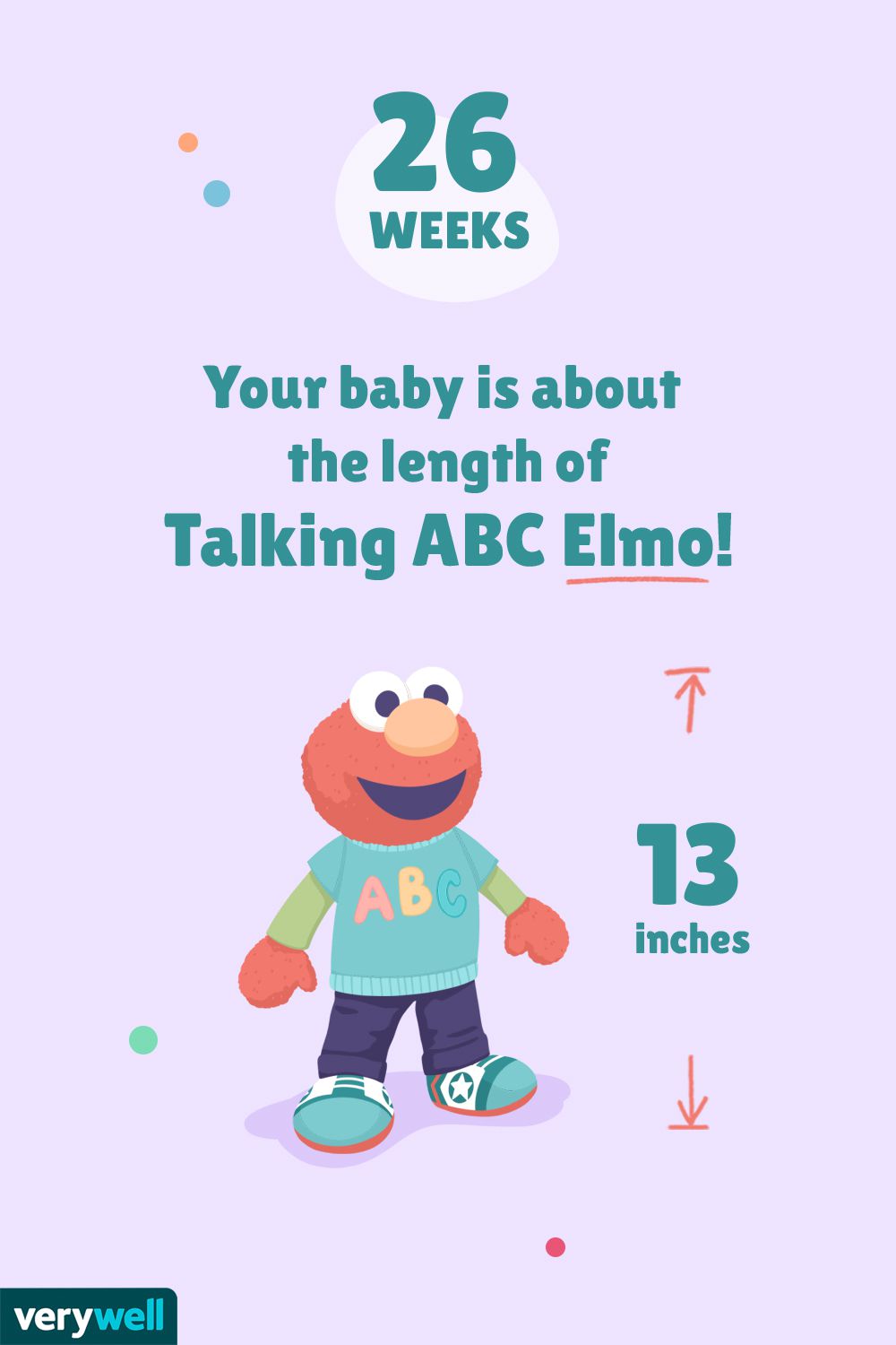 怀孕26周的时候，你的宝宝大概有ABC电视台的《Talking Elmo》那么长