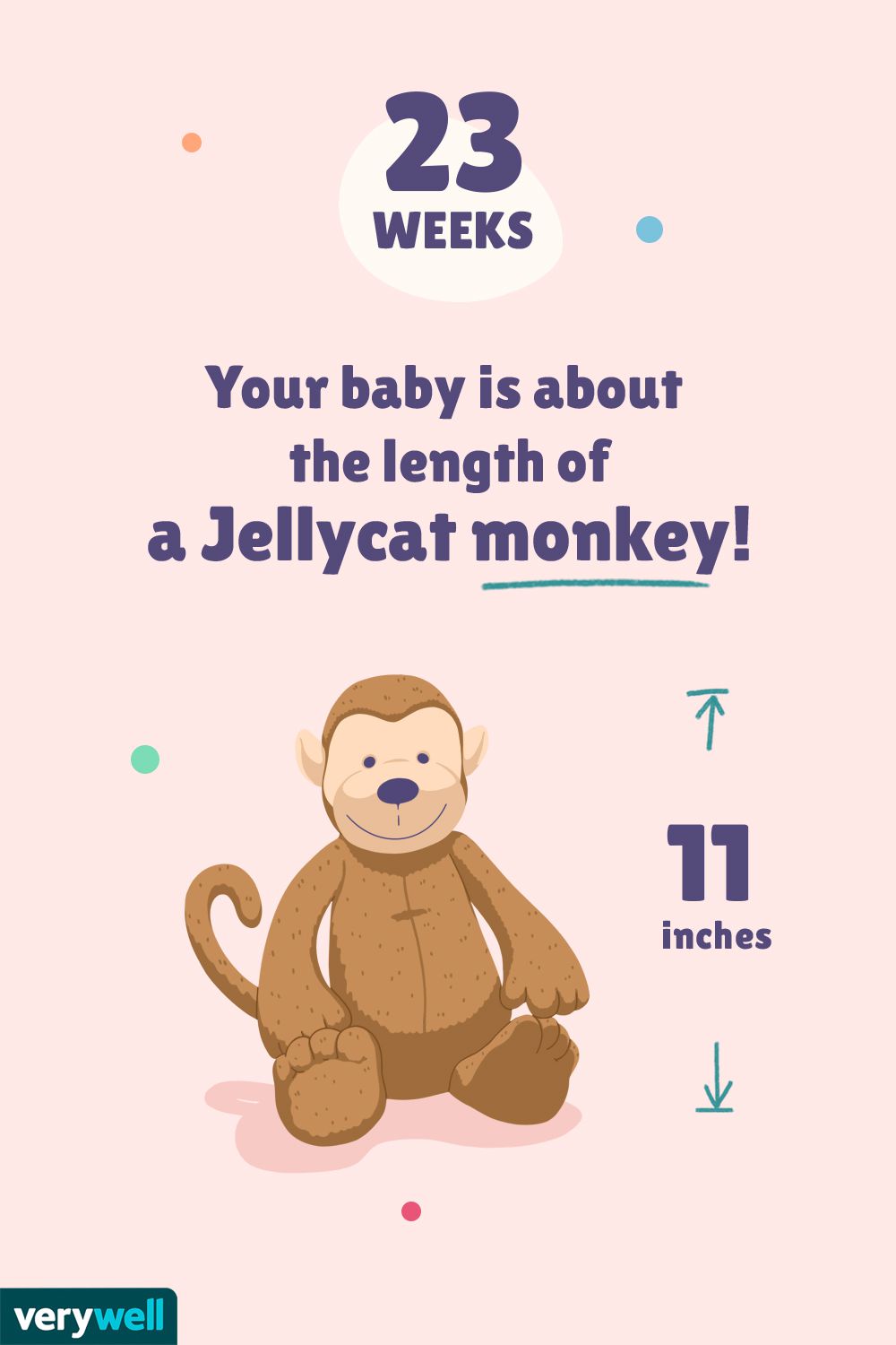 在23周内，你的孩子都是个小猫的孩子！