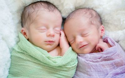 刚出生的双胞胎睡觉
