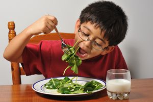 Boy eating his lunch