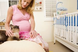 孕妇爱抚猫＂width=