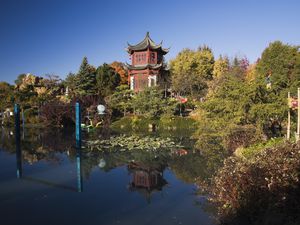 中国花园花园，中国大学