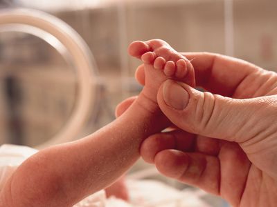An adult holding a premature baby's foot