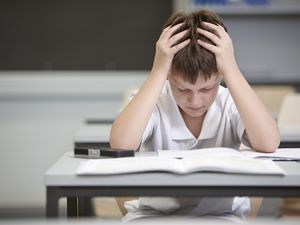 学生在学习教育的能力