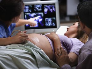 女性医生用超声波测试胎儿的胸部