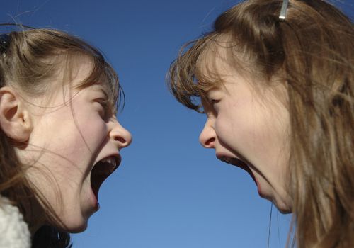 fighting-twin-girls.jpg