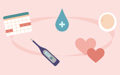 Verywell Family's Understanding Ovulation Journey