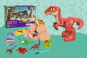 Best dinosaur toys collaged against colorful green background