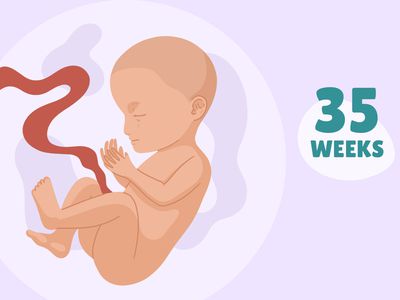 Pregnancy Week by Week: Week 35