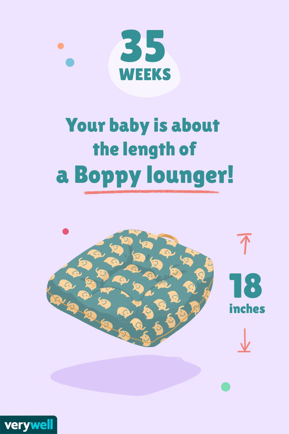 怀孕35周时，你的宝宝大概有一个Boppy躺椅那么长